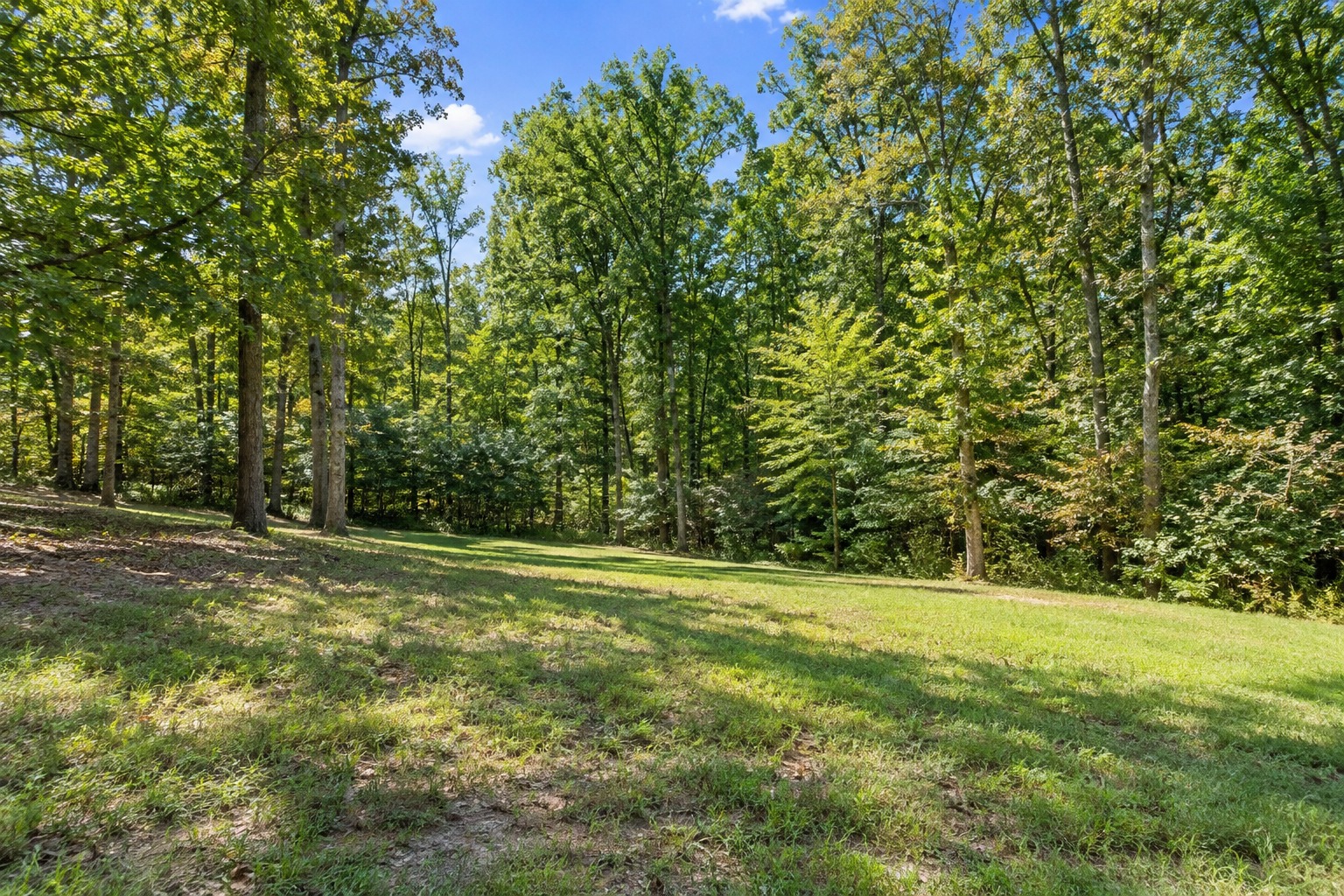 Tree Clearing, Forest Conservation, and Your Building Plans real estate guide for Southern Maryland buyers and sellers